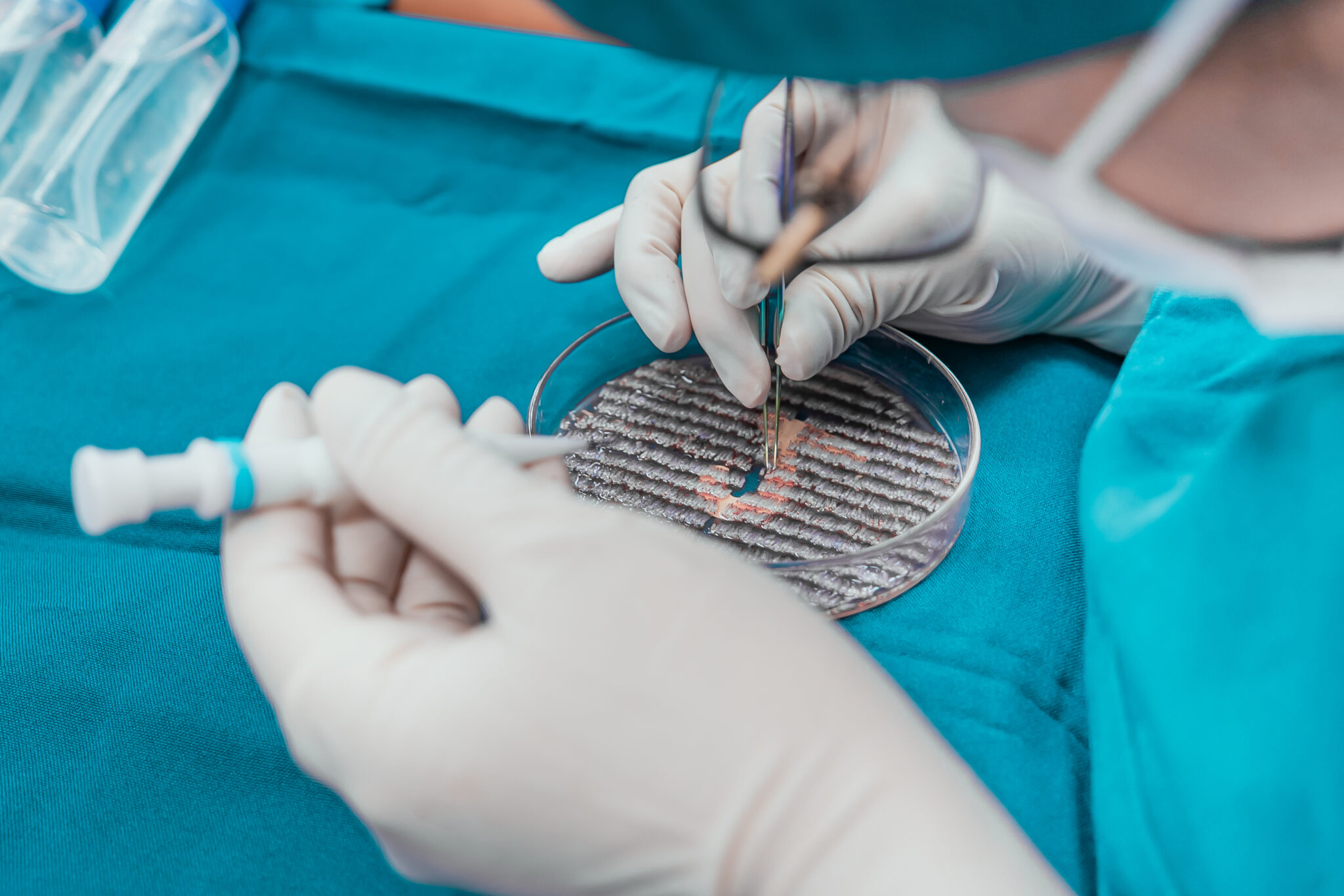Clinicabelo02